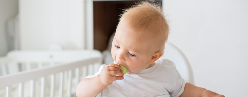 Baby’s First Bites: Strategies for Introducing Solid Foods